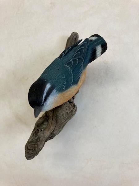Nuthatch #41