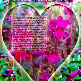 Tehillim 116