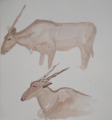 Elands Elands