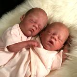 RARE! Twin tiny Preemies ~ Milla & Tilly ~ ADOPTED/SOLD