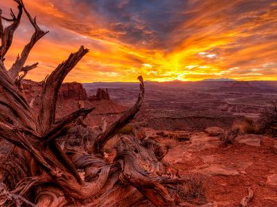 Vivid Canyonlands Textures Vivid Canyonlands Textures
