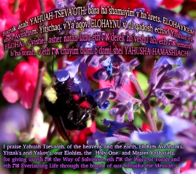 Blessing_Day 7_Shabbat Evening Blessing_Day 7_Shabbat Evening