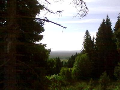 Ural Nature