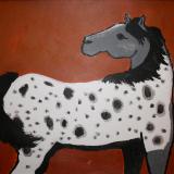 Spotted Appaloosa
