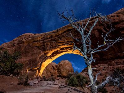 North Window and Moonlit Tree North Window and Moonlit Tree