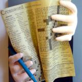 The Crossword Puzzle Solver