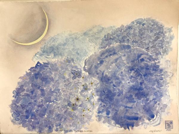 Crescent Moon, Blue Hydrageas