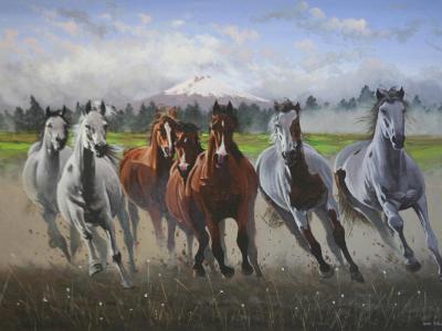 Freedom, 150cm x 100cm, 2013 Freedom, 150cm x 100cm, 2013