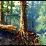 5x7.Putting Down Roots