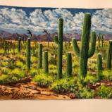 Saguaros