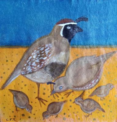 Desert Quail Family Desert Quail Family