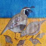 Desert Quail Family