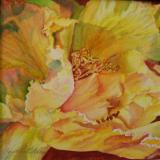 Gold Peony III