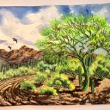 Palo Verde Tree with Saguaros