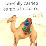 Carla Camel
