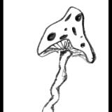 Shrooms