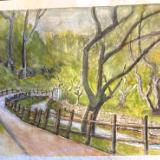 Parque Ribeira dosagem vinha