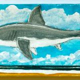 SHARK OVER CAPITOLA