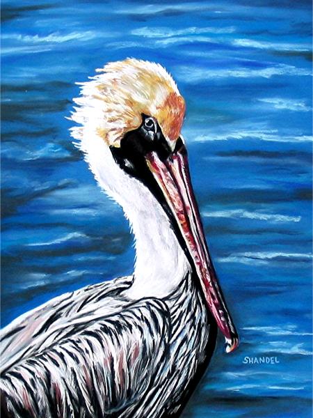 I Only Look at Pelicans