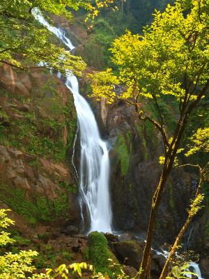 Silky Manatial de Agua Viva Waterfalls Silky Manatial de Agua Viva Waterfalls