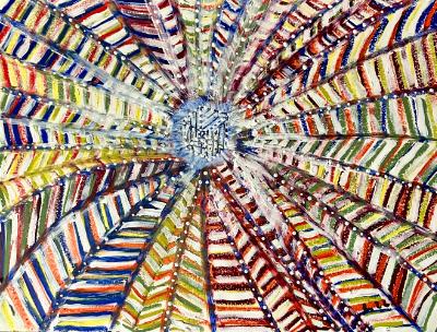 Projections from a Cube Projections from a Cube