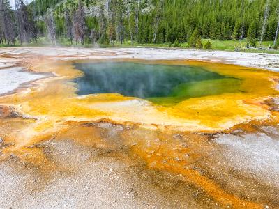 Emerald Pool Hot Springs and Forest Emerald Pool Hot Springs and Forest