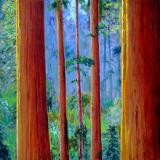 Coast Redwood Grove