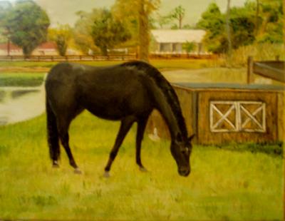 grazing grazing