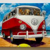 BUSFULL OF DOGS ON THE BEACH 