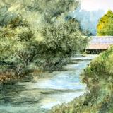 Frene Creek - Hermann MO  6.11.26
