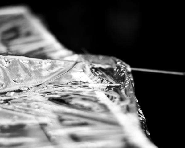 untitled (yongnuo f/1.8 85mm)