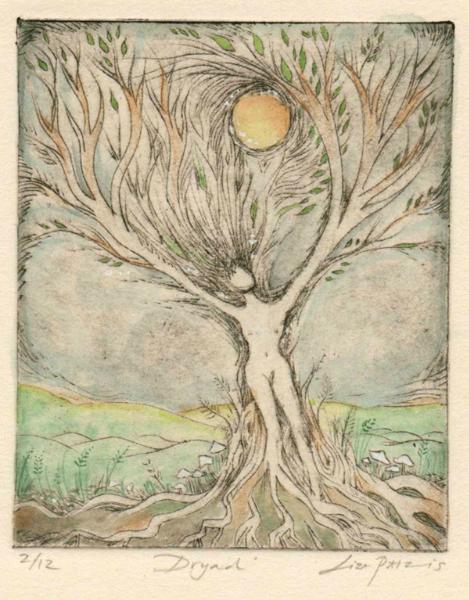 Dryad limited edition etching handcolored drypoint etching print of a tree goddess