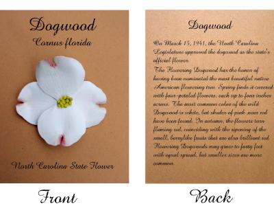 North Carolina State Flower