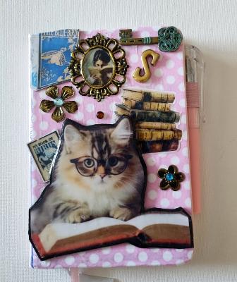 Jane Austin's cat mini journal Jane Austin's cat mini journal