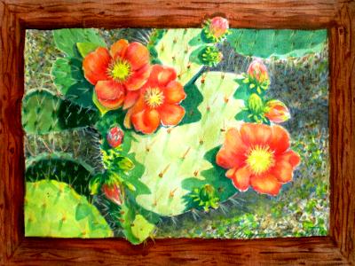 SOLD - Orange Cactus Flowers #2