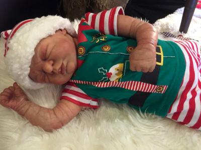 Christmas 2016 Show entry: Precious Gift (I.L)