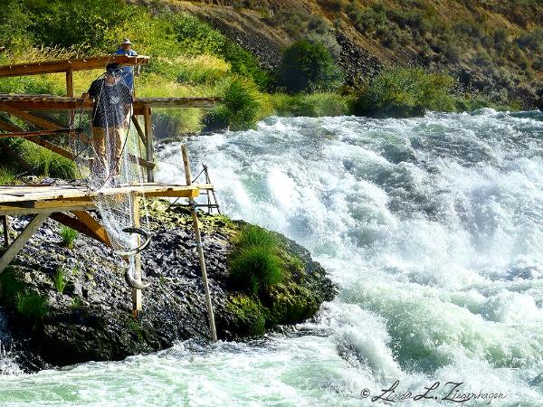 Sherars Falls Netting_Deschutes River Tribal Tradition