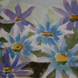 Daisies
