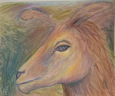 Llama Portrait