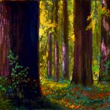 December 2021Trees and Fields Exhibition December 2021Trees and Fields Exhibition