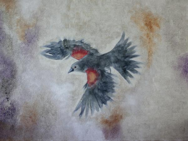 Bird with Red Wimgs