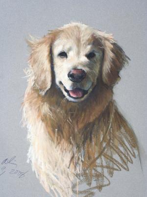 Sam 16x20" pastel Sam 16x20" pastel