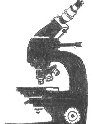 MICROSCOPE MICROSCOPE