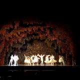 Swan Lake Forest - BalletMet Columbus