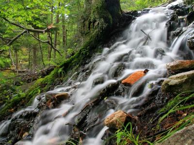 Silky Forest Cascade Silky Forest Cascade