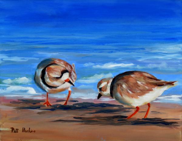 Piping Plovers  oil  11x14 SOLD