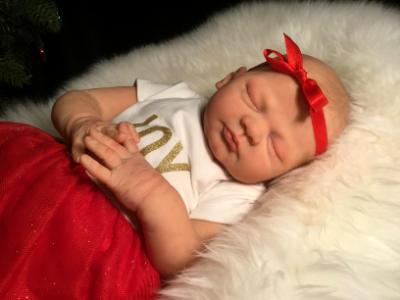 Reborn Baby Girl ~ Carol Anne ~ ADOPTED/SOLD