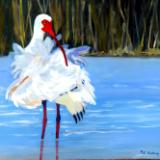 Ruffled Feathers - Ibis SOLD