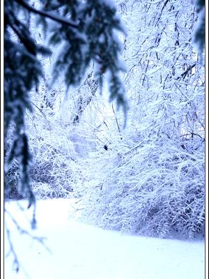 Narnia? Narnia?