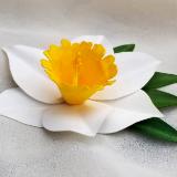 White Trumpet Daffodil Hair Clip